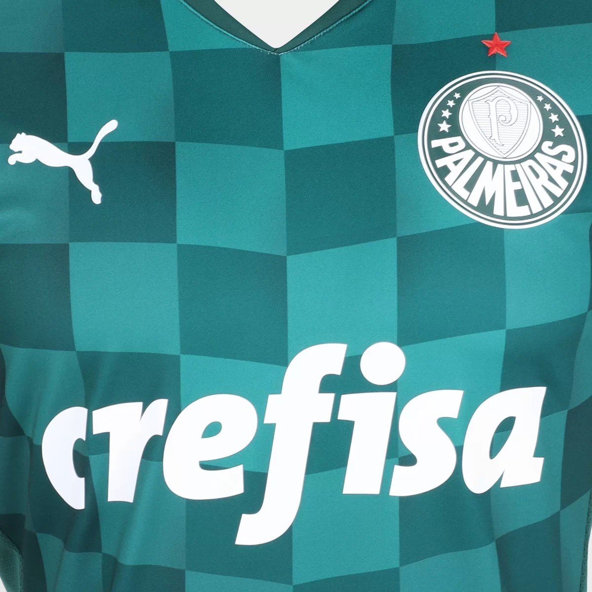 Sem título(2) Camisa Palmeiras I 21/22 Puma Masculina - Verde