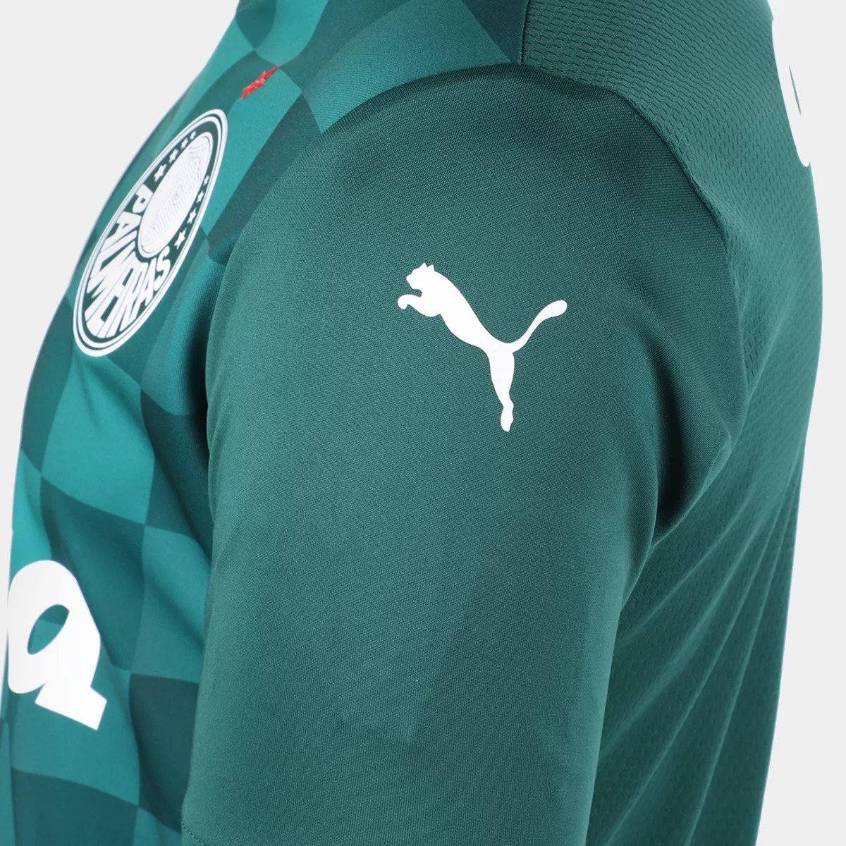 Sem título(3) Camisa Palmeiras I 21/22 Puma Masculina - Verde