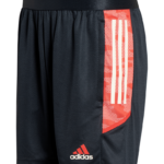 adidas-int-trainingsshort