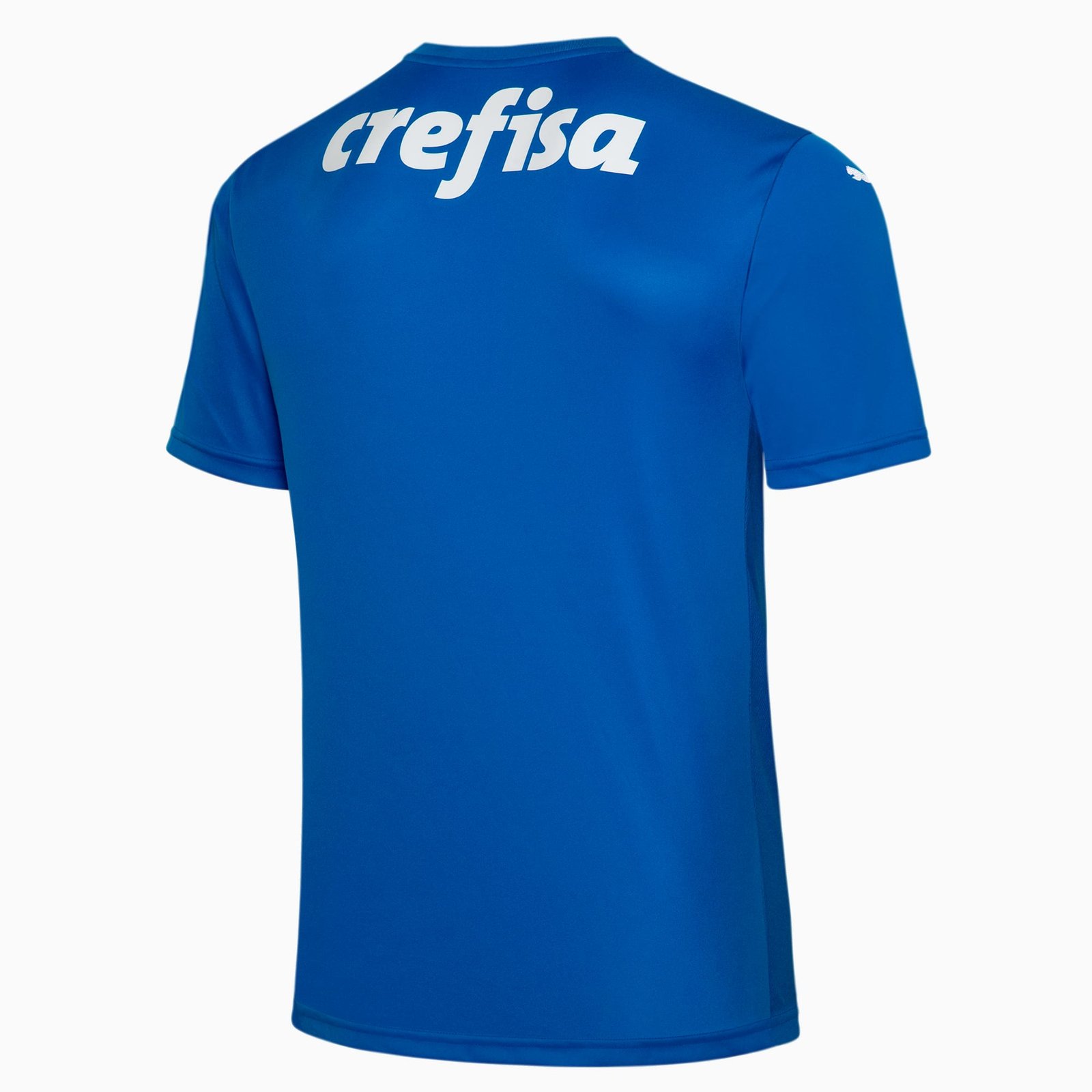 png (1) CAMISA PALMEIRAS GOLEIRO AZUL