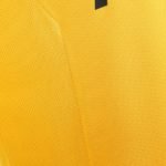 Flamengo-banner-cima-300×50