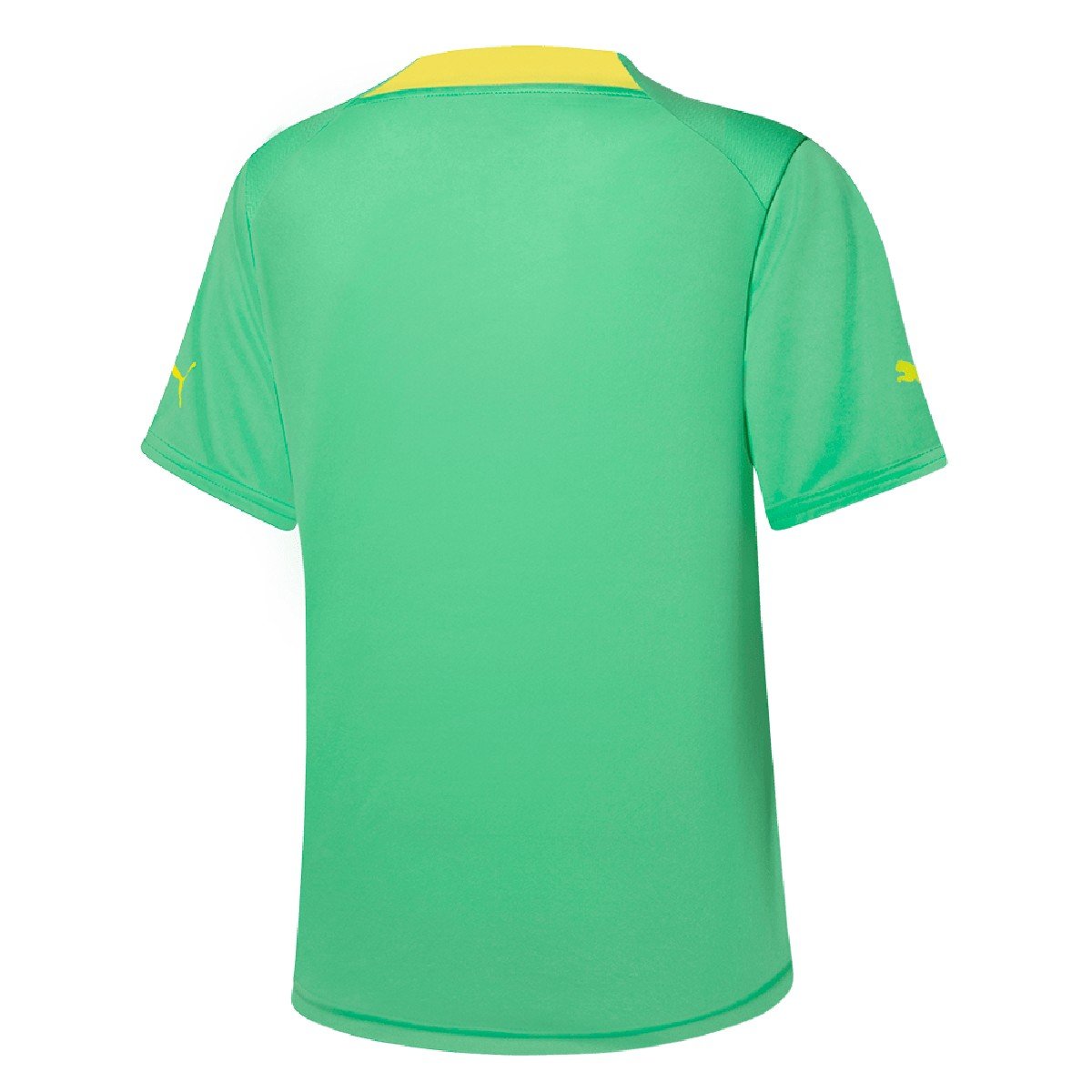 Sem-titulo-6(13) Nova Camisa do Palmeiras 3 2022/23 Verde Feminina
