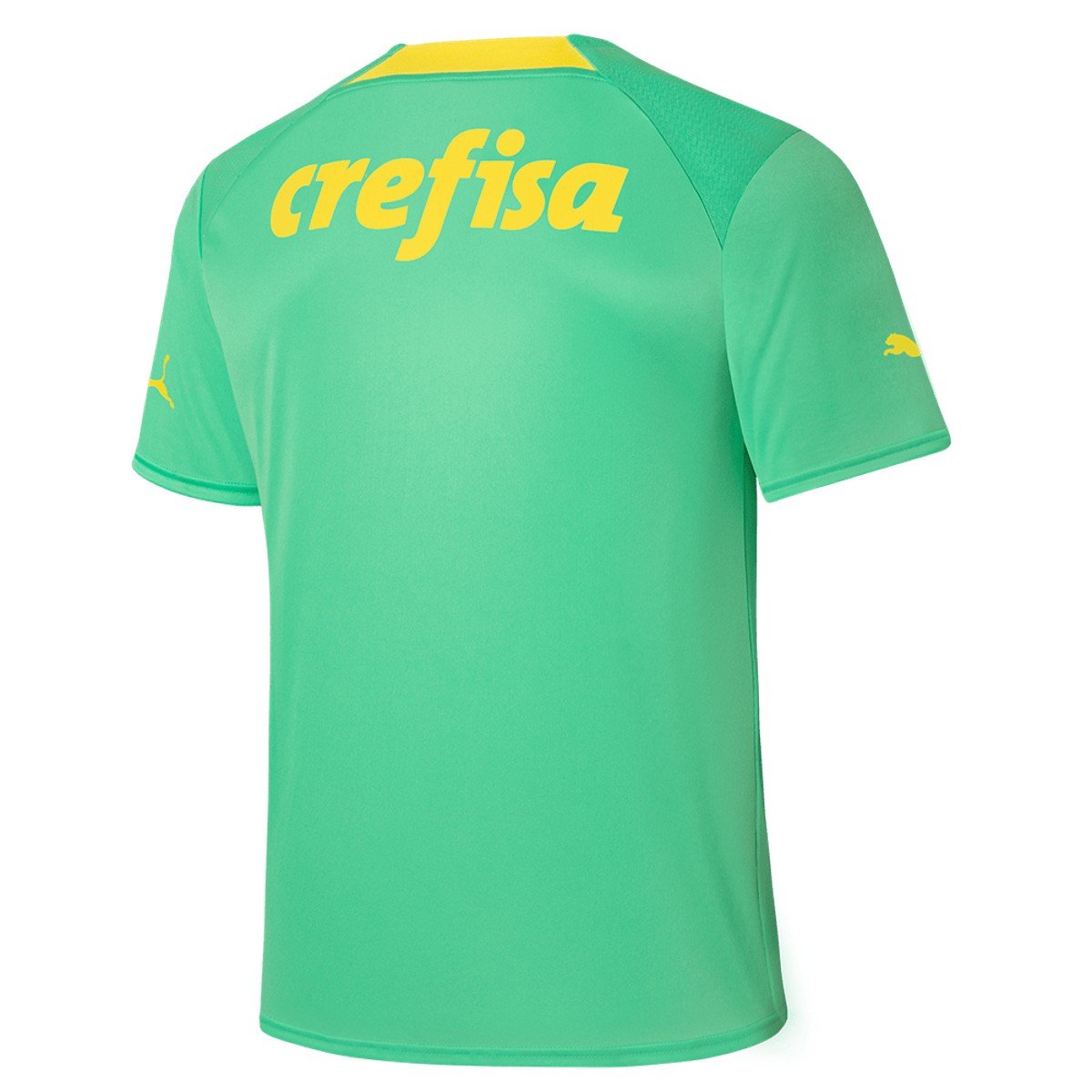 Sem-titulo-6(18) Nova Camisa do Palmeiras 3 2022/23 Verde Masculina