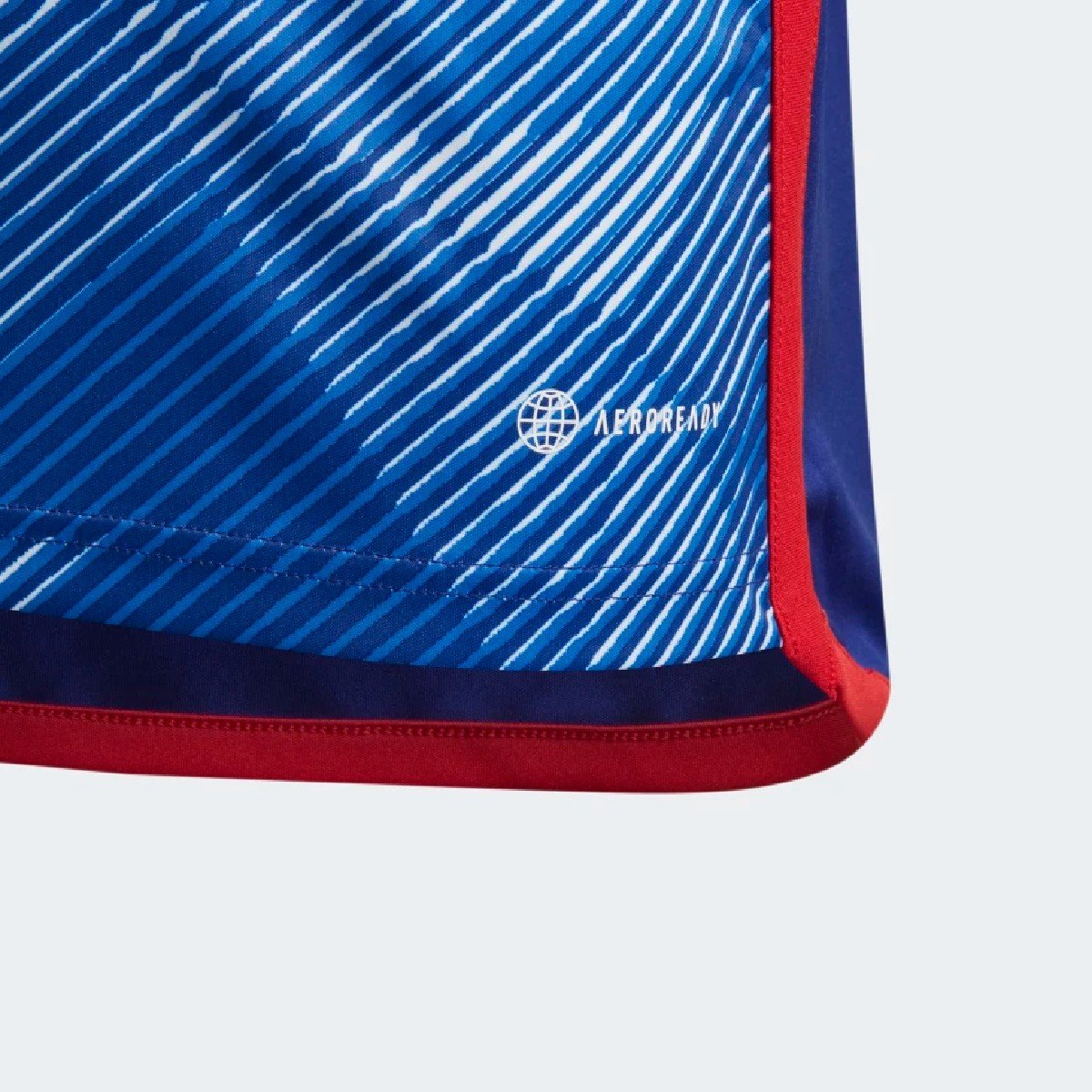 Sem título(14) Camisa do Japão Roxo Away Copa do Mundo Masculina Azul