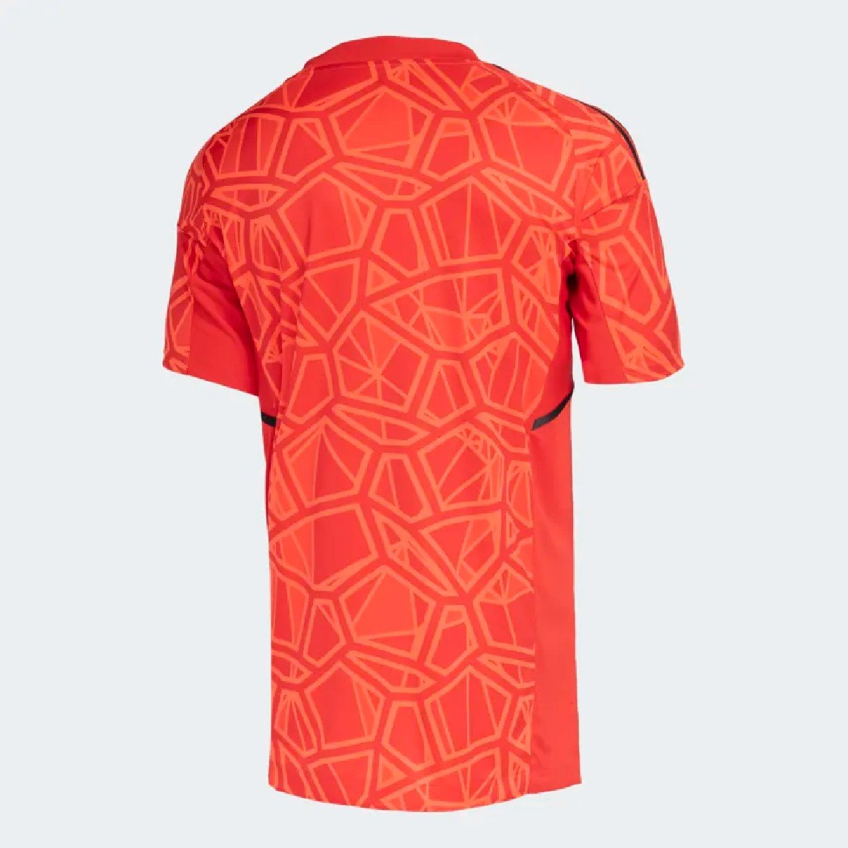Sem título(6) Camisa Goleiro Flamengo Vermelha 2022