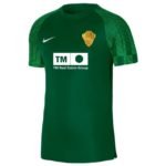 Sem título(10)