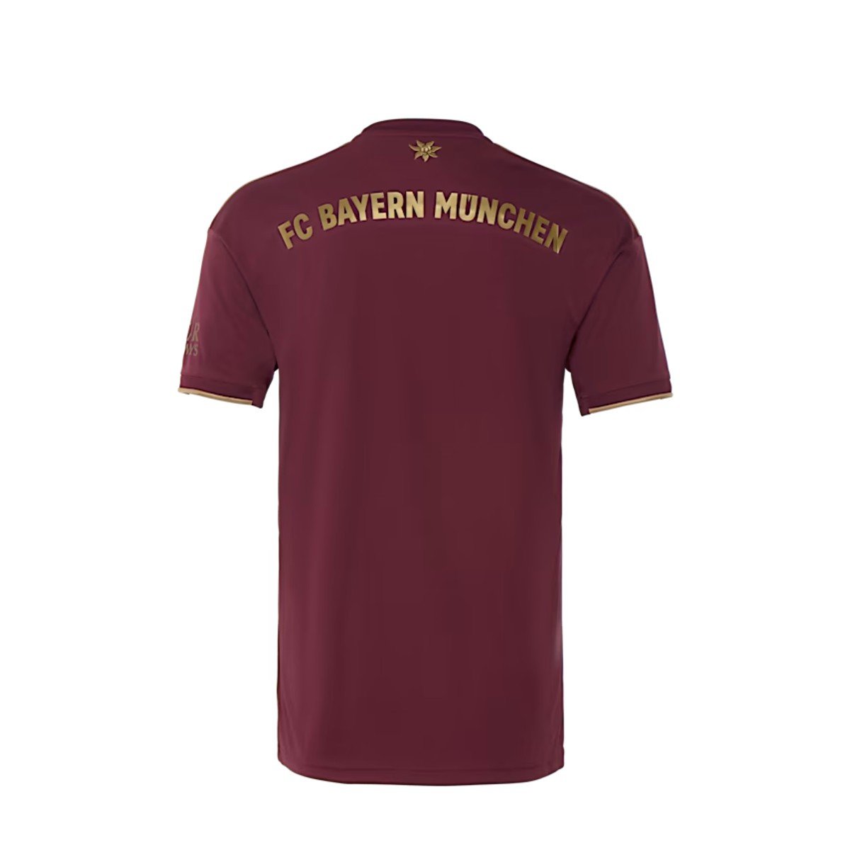 Sem título(17) Camisa Bayern de Munique Vermelho Vinho Masculina 2022/23
