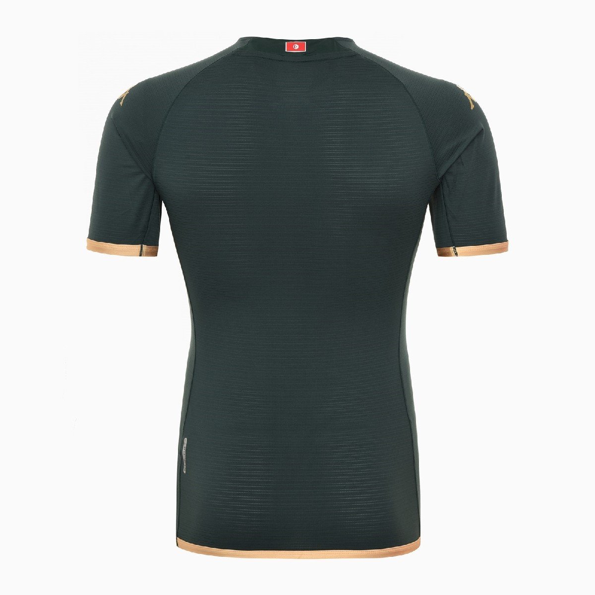 Sem título(21) Camisa da Tunísia Verde Copa do Mundo 2022 Masculina