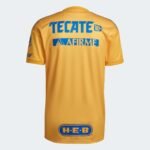 Sem título(6)