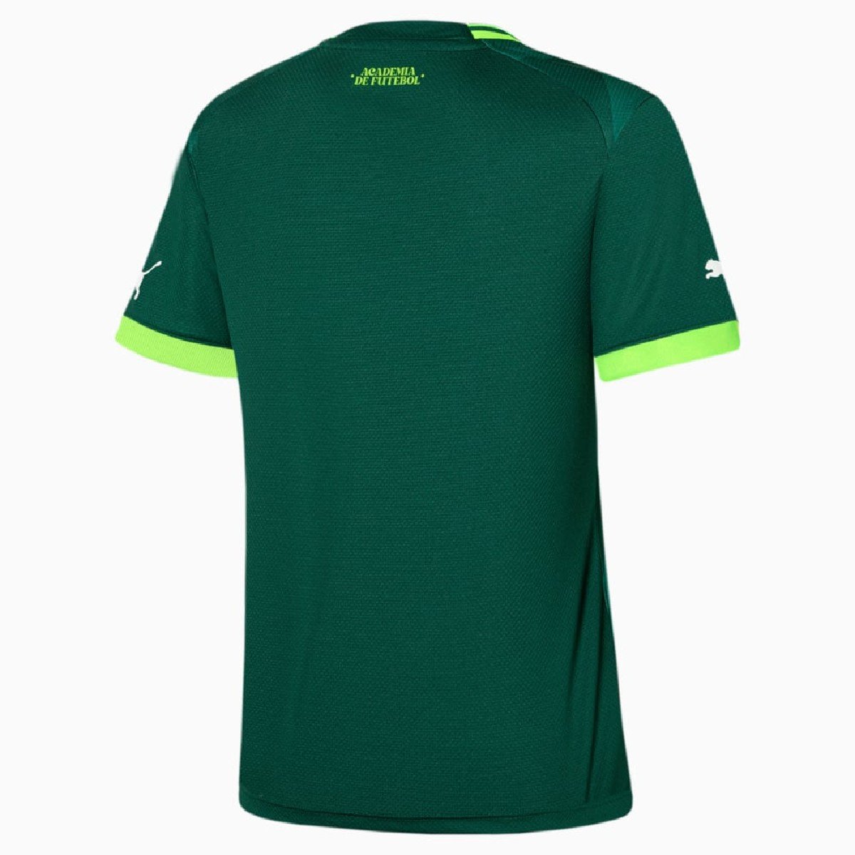Sem título (1) Nova Camisa Palmeiras Verde 2023/24 Feminina