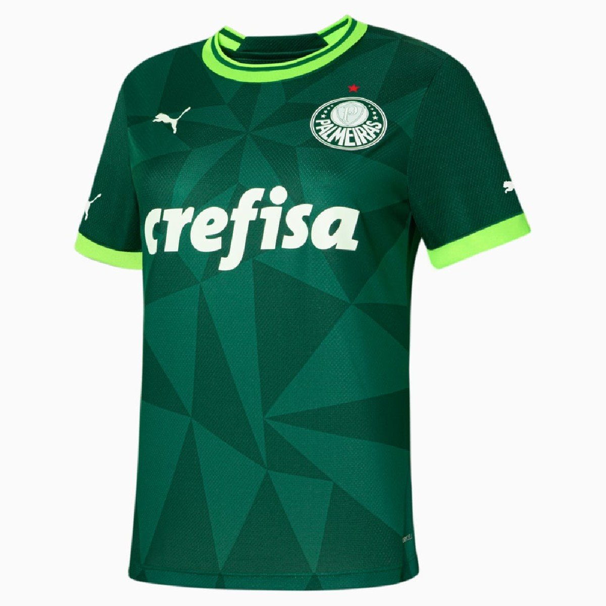 Sem título Nova Camisa Palmeiras Verde 2023/24 Feminina