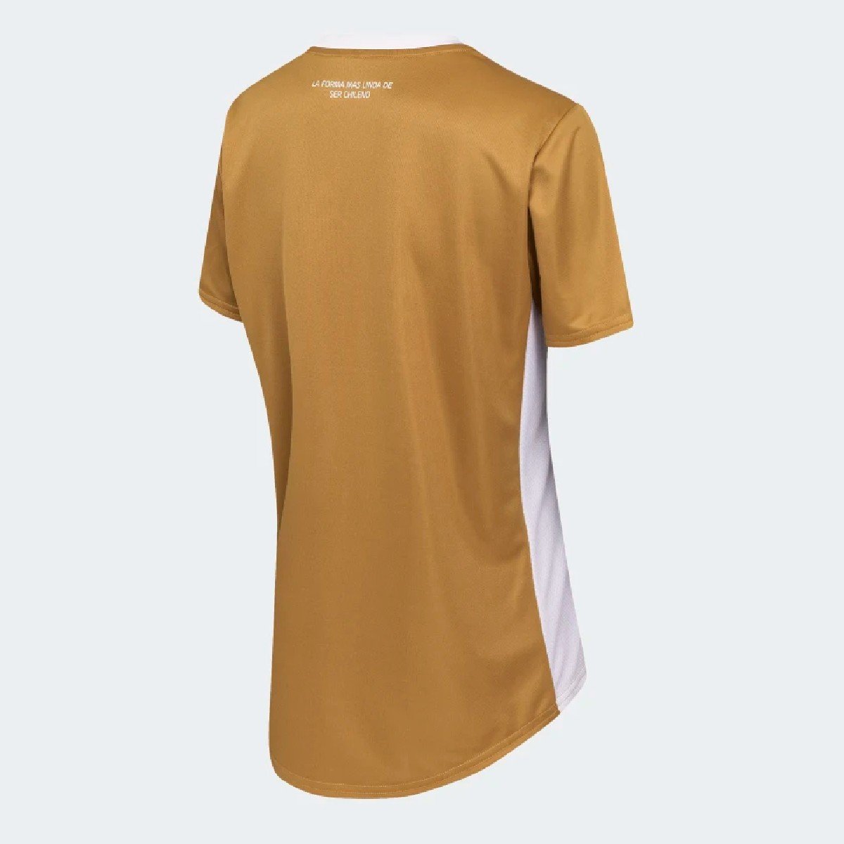 Sem título(12)