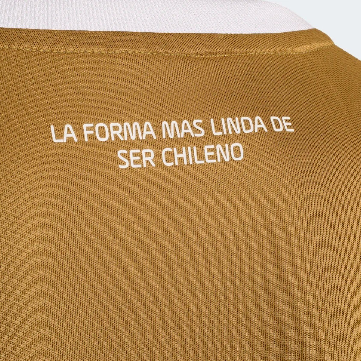 Sem título(13)