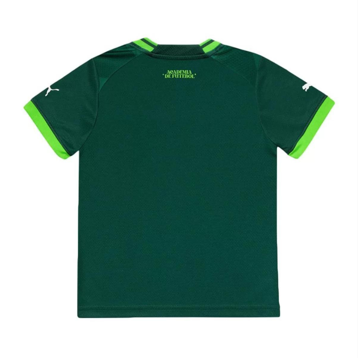 Design sem nome (29) Conjunto Infantil Palmeiras Verde 2023/24