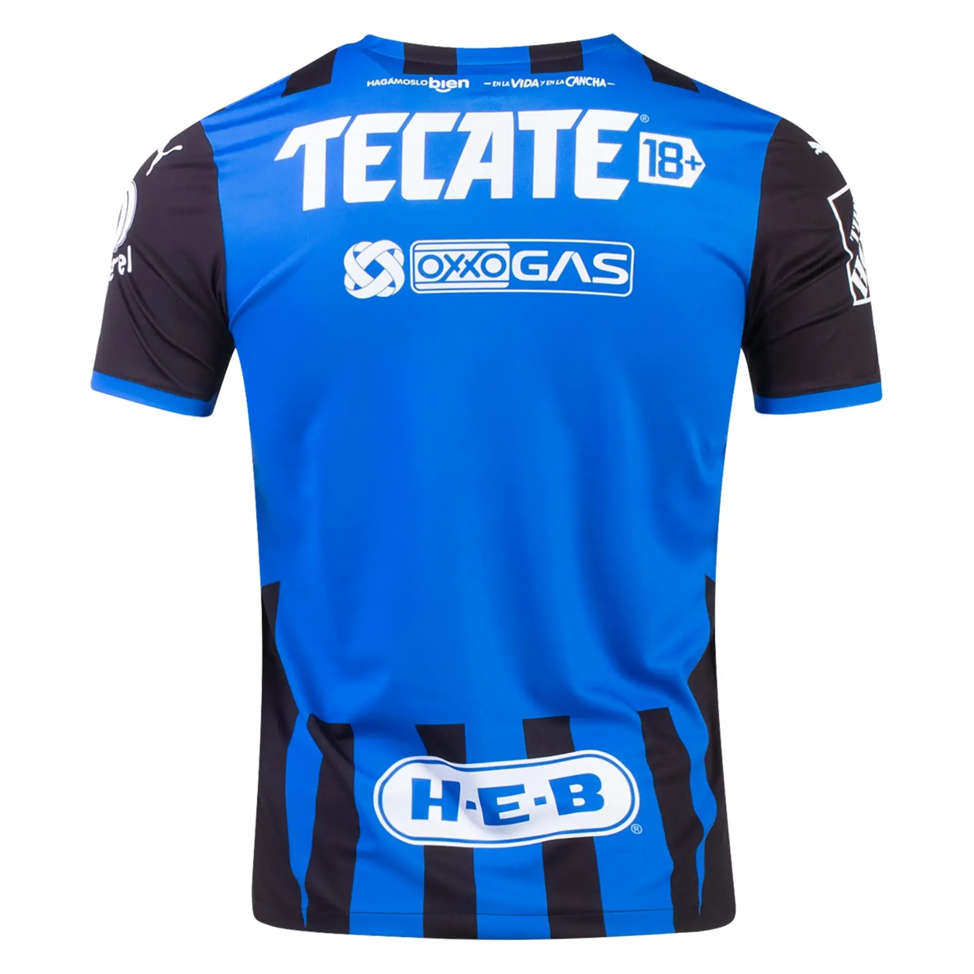 www.imagehandler Camisa Monterrey Azul 2021/22 Masculina