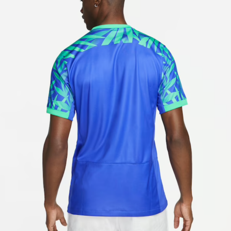 Design sem nome (1) Camisa do Brasil Copa Feminina Azul 2023/24