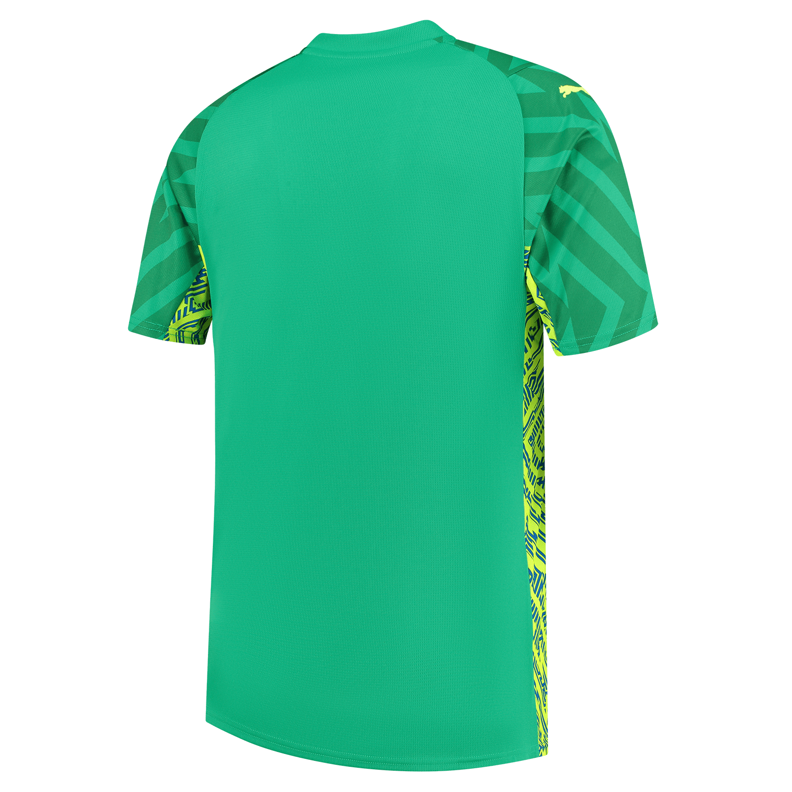 701225681001_pp_02_mcfc (1) Camisa Manchester City Goleiro Verde 2023/24 Masculina