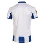 camiseta_1_tienda