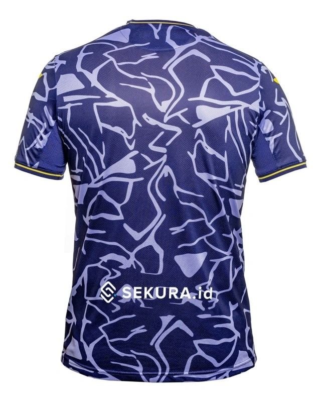 368391073_307414188496003_2553172190051857189_n Nova Camisa Norwich City 3 Roxo 2023/24 Masculina