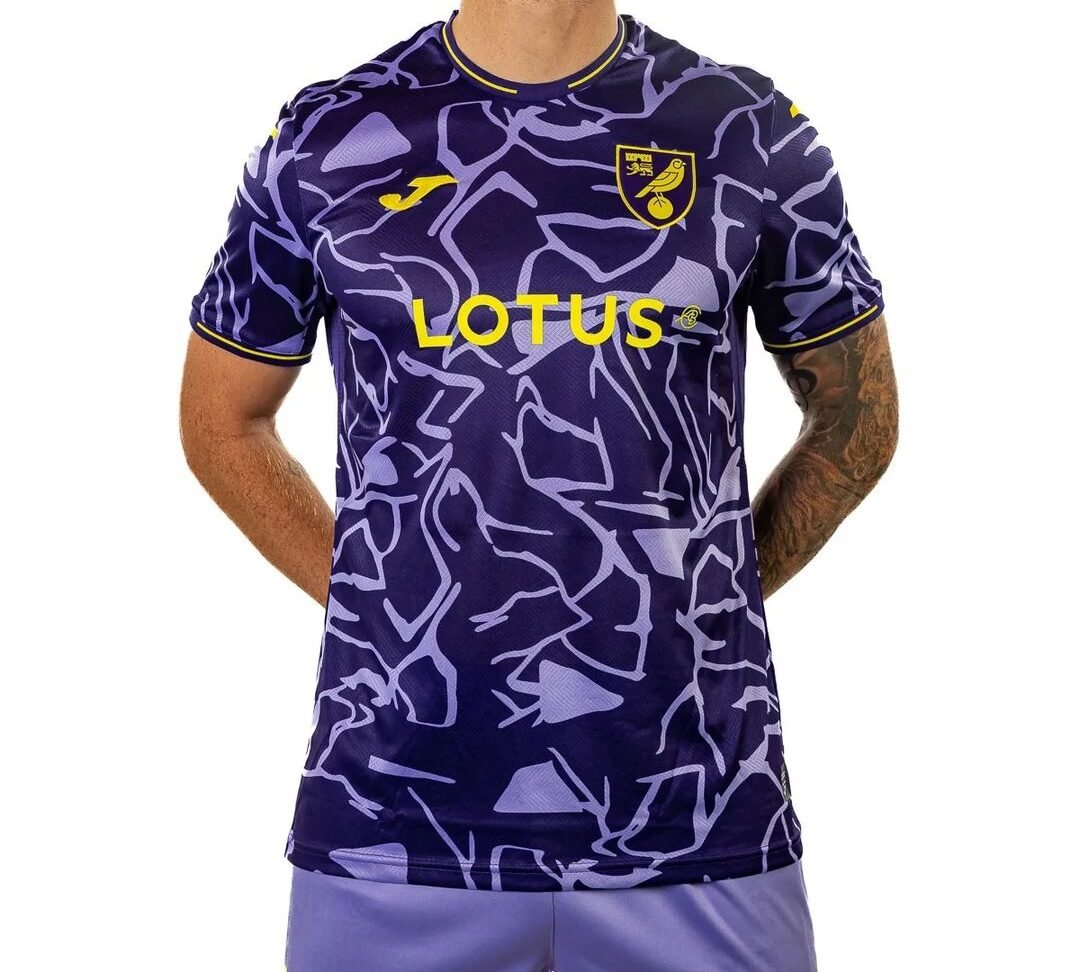 368457274_642261087873334_4885573451184380191_n Nova Camisa Norwich City 3 Roxo 2023/24 Masculina
