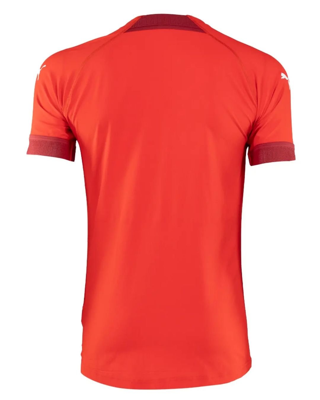 372853982_895051705396144_7036102213440245378_n Camisa especial PSV Vermelha 110 anos 2023/24 Masculina