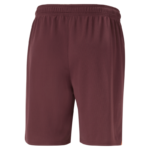 Short Manchester City Away Vinho 2023/24