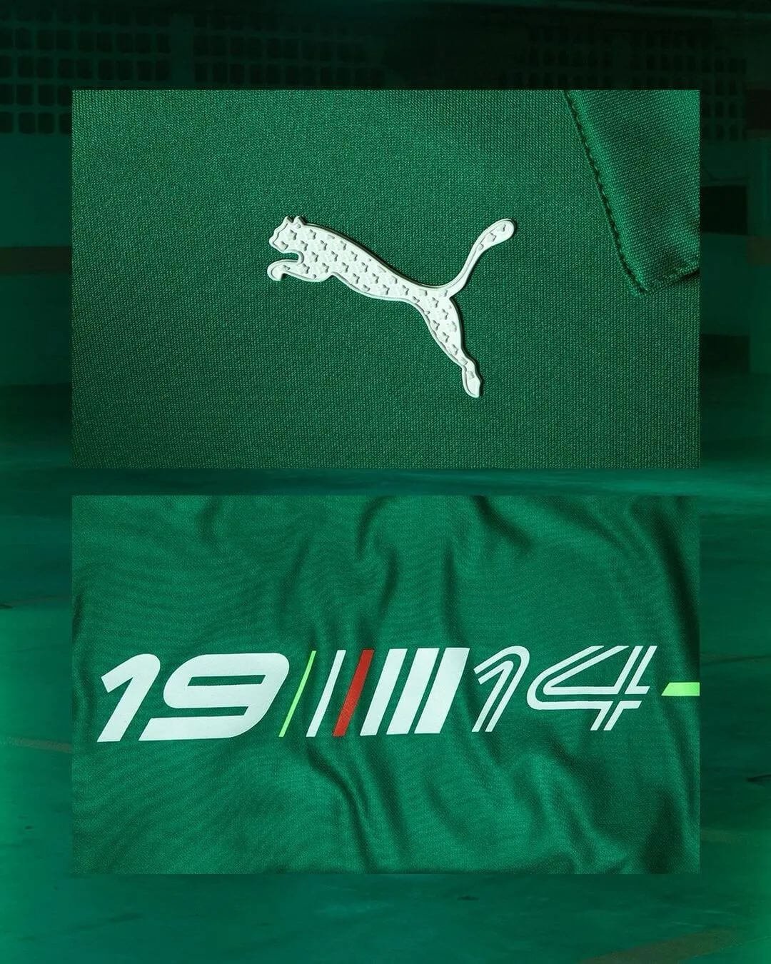 Camisa Abel Ferreira Palmeiras Motorsport Verde Botão 2023 Camisa Abel Ferreira Palmeiras Motorsport Verde Botão 2023