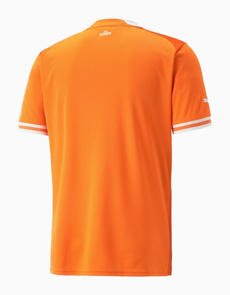 Camisa Costa do Marfim Home Laranja 2023/24 Masculina Camisa Costa do Marfim Home Laranja 2023/24 Masculina