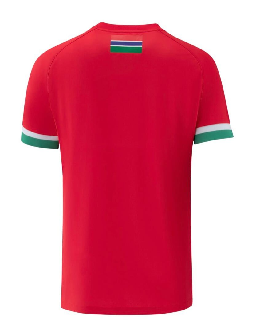 Camisa Seleção da Gâmbia Vermelha 2023/24 Masculina Camisa Seleção da Gâmbia Vermelha 2023/24 Masculina