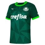 Camisa Palmeiras Dodeca Bicampeão Brasileiro Feminina