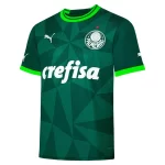 Camisa Palmeiras Dodeca Bicampeão Brasileiro Masculina
