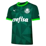 Camisa Palmeiras Dodeca Bicampeão Brasileiro Jogador