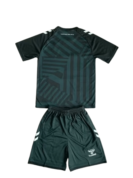 Kit Infantil Werder Bremen Verde 2023/24 Unissex Kit Infantil Werder Bremen Verde 2023/24 Unissex