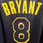 regata-nba-nike-swingman-los-angeles-lakers-mamba-edition-bryant-81-fbdc50819ab1d1033615913112855282-1024-1024