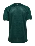 Camisa Werder Bremen Verde 125 Anos 2023/24 Masculina