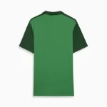 Camisa Palmeiras Casual Verde Escuro Gola Polo 2024/25 Masculina