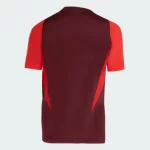 Camisa Internacional Comissão Técnica Vinho 2024/25 Masculina