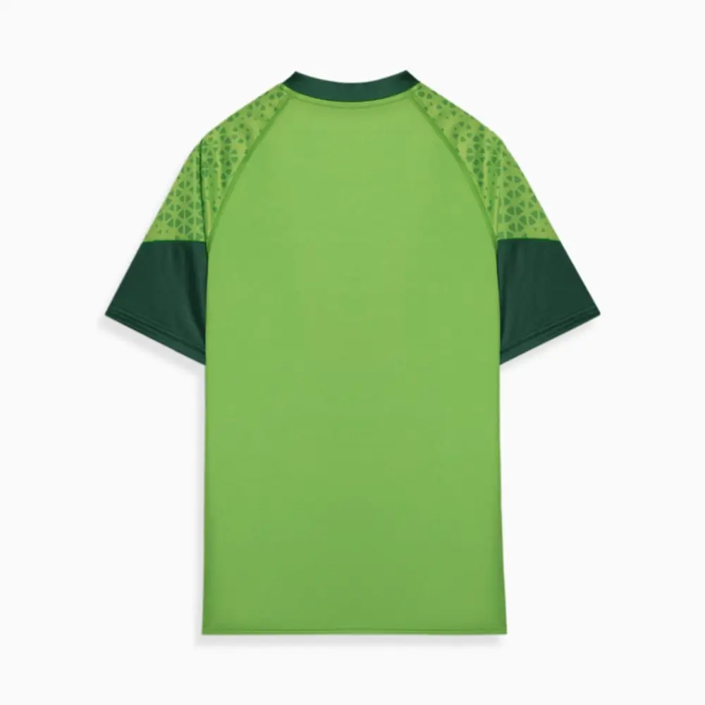 Camisa Treino/Viagem Palmeiras Verde 2024/25 Masculina Camisa Treino/Viagem Palmeiras Verde 2024/25 Masculina