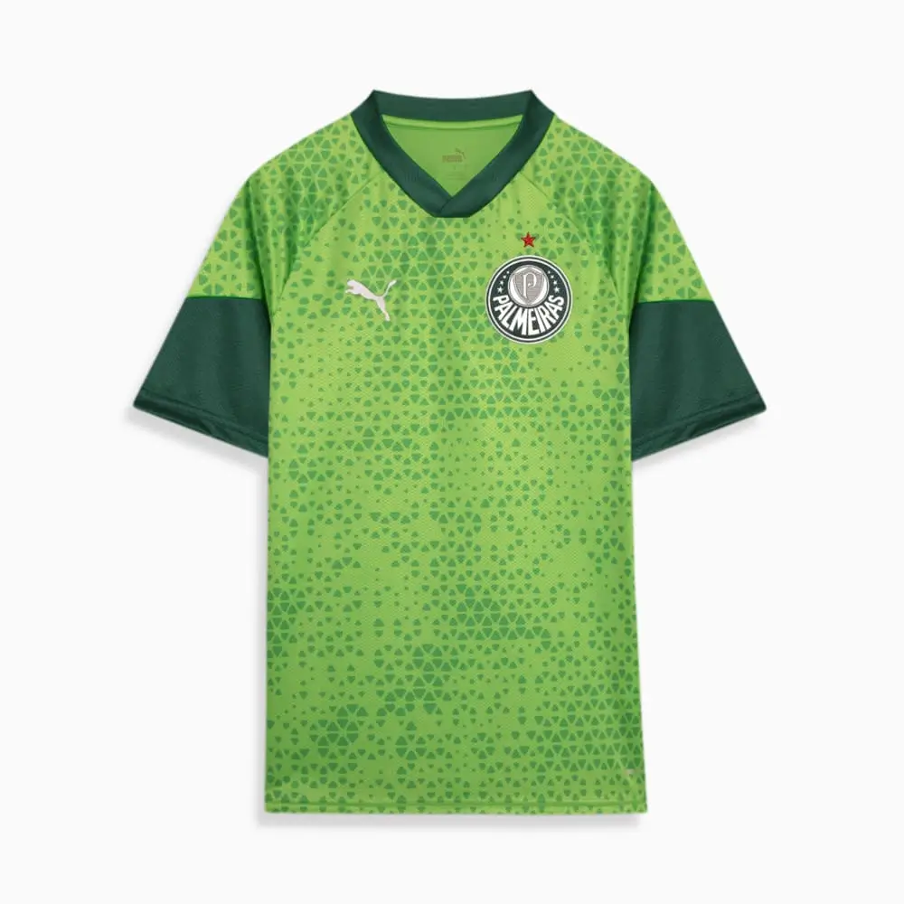 Camisa Treino/Viagem Palmeiras Verde 2024/25 Masculina Camisa Treino/Viagem Palmeiras Verde 2024/25 Masculina