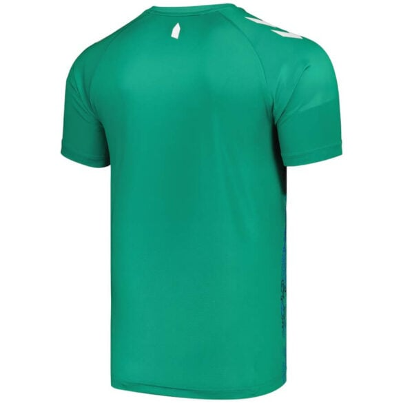 Camisa Everton Seamus Coleman Especial Verde 2024/25 Masculina Camisa Everton Seamus Coleman Especial Verde 2024/25 Masculina
