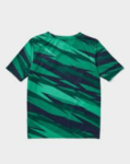 Camisa Pré-jogo Irlanda do Norte Verde 2024/25 Masculina