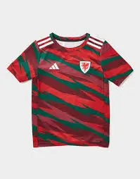 Camisa País de Gales Pré-Jogo Vermelha 2024/25 Masculina