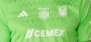 camisa-Tigres-unl-goleiro-verde-2024-25-masculina-loja-malta-esportes (2) Camisa Tigres UNL Goleiro Verde 2024/25 Masculina