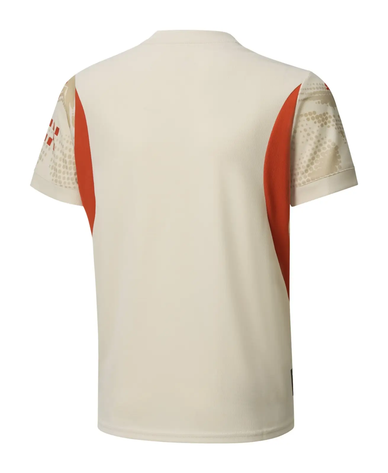 camisa-goleiro-Manchester-City-bege-iii-2024-25-masculina- (1) Camisa Manchester City Bege Goleiro 2024/25 Masculina