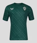 camisa-reserva-ud-almeria-verde-ii-2024-25-masculina (1)