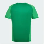 camisa-argentina-50-anos-afa-adidas-verde-goleiro-2024-25-masculina