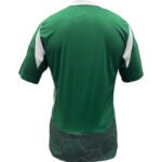 camisa-maccabi-aifa-verde-home-2024-25-maculina