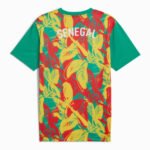 camisa-selecao-de-senegal-treino-2024-25-masculina