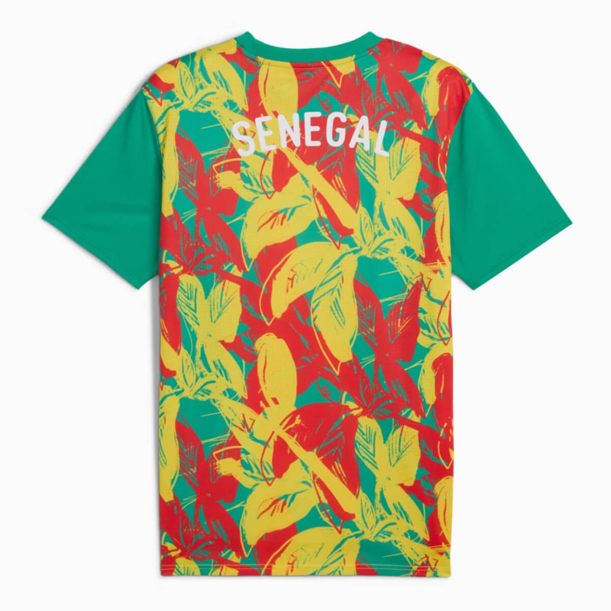 camisa-selecao-de-senegal-treino-2024-25-masculina- Camisa Seleção de Senegal Treino 2024/25 Masculina
