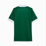 camisa-palmeiras-verde-sem-patrocinio-titular-2024-25-masculina